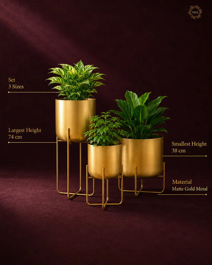 Three gold matte metal planters in different sizes with green leafy plants, displayed on a dark burgundy background with text overlays showing dimensions and material details.