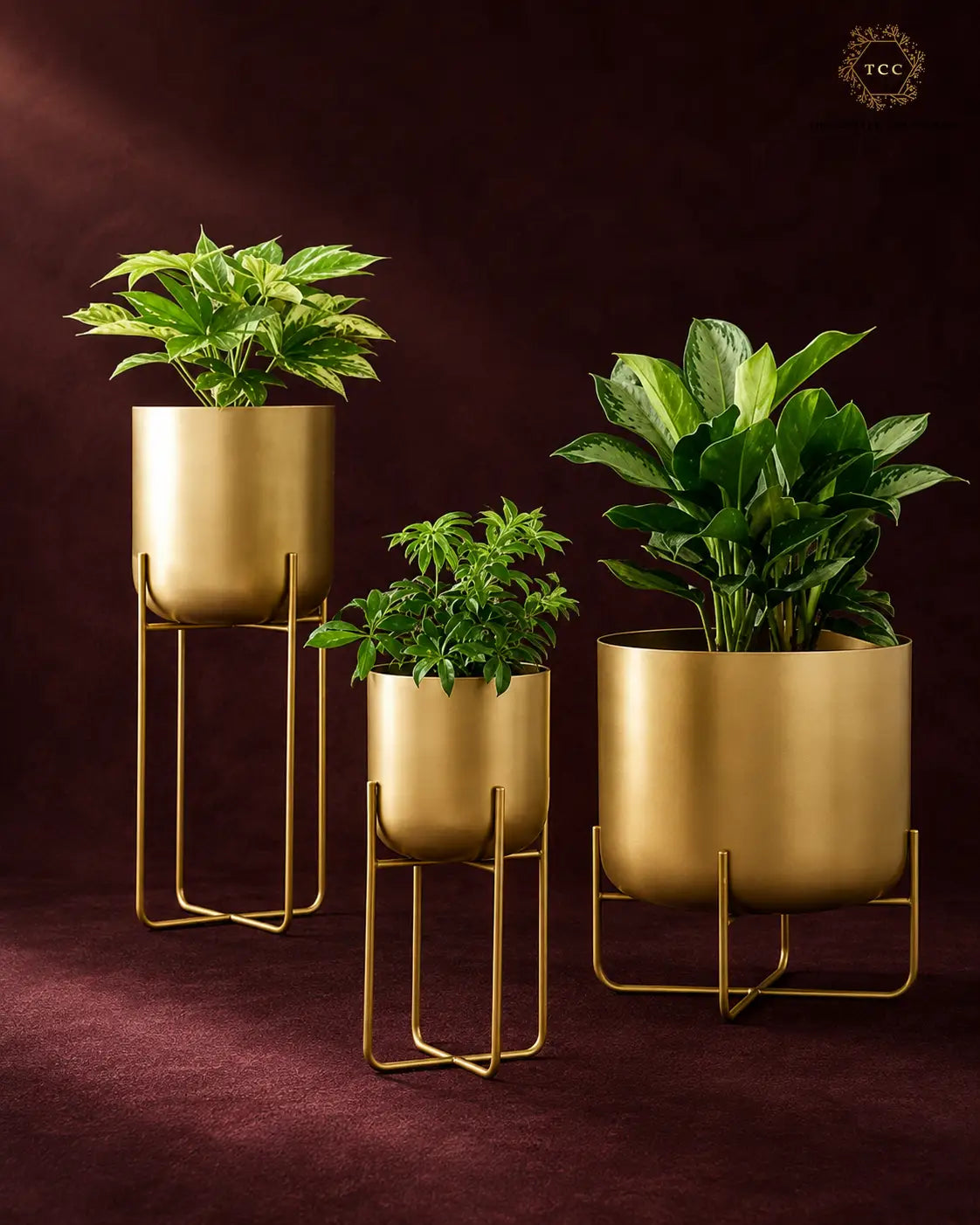 Three gold-finished metal planters in graduated sizes, each holding a green houseplant, displayed on matching gold wire stands against a dark burgundy background.