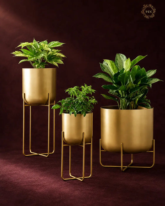 Three gold-finished metal planters in graduated sizes, each holding a green houseplant, displayed on matching gold wire stands against a dark burgundy background.