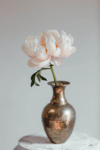 Bronze vase with a single pink flower on a light background